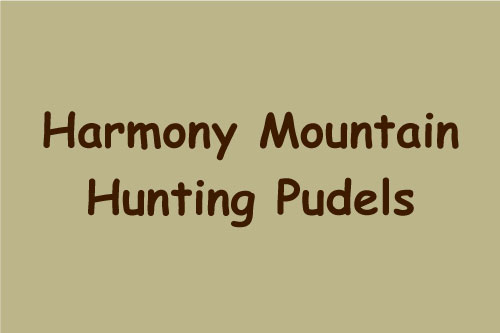 Harmony Mountain Hunting Pudels